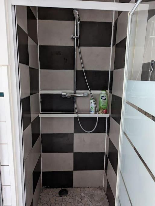 Appartement Plein Centre Saint Die Des Vosges Ngoại thất bức ảnh